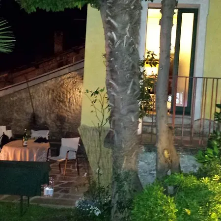 Garden *